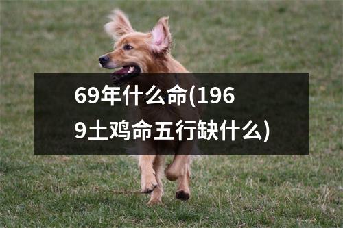 69年什么命(1969土鸡命五行缺什么)