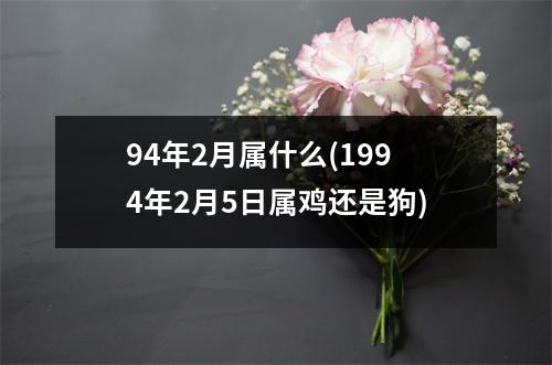 94年2月属什么(1994年2月5日属鸡还是狗)