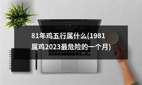 81年鸡五行属什么(1981属鸡2023危险的一个月)