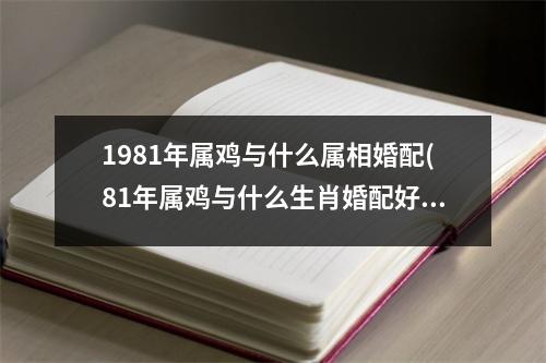 1981年属鸡与什么属相婚配(81年属鸡与什么生肖婚配好)