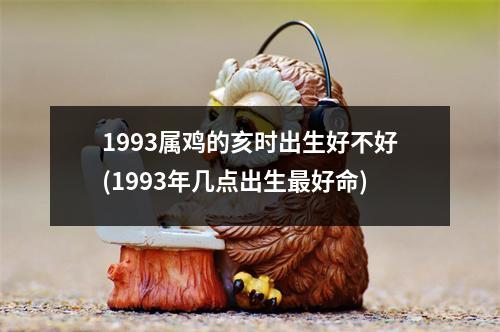 1993属鸡的亥时出生好不好(1993年几点出生好命)