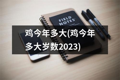 鸡今年多大(鸡今年多大岁数2023)