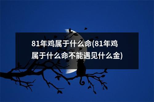 81年鸡属于什么命(81年鸡属于什么命不能遇见什么金)