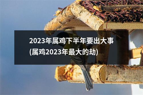 2023年属鸡下半年要出大事(属鸡2023年大的劫)