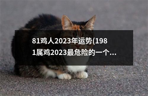 81鸡人2023年运势(1981属鸡2023危险的一个月)