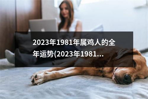 2023年1981年属鸡人的全年运势(2023年1981年属鸡人的全年运势男吉祥如意摆件)