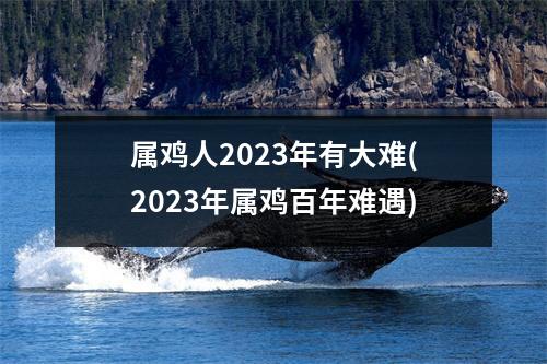 属鸡人2023年有大难(2023年属鸡百年难遇)