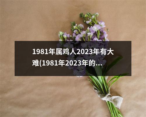 1981年属鸡人2023年有大难(1981年2023年的鸡是百年难遇)