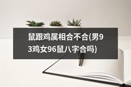 鼠跟鸡属相合不合(男93鸡女96鼠八字合吗)