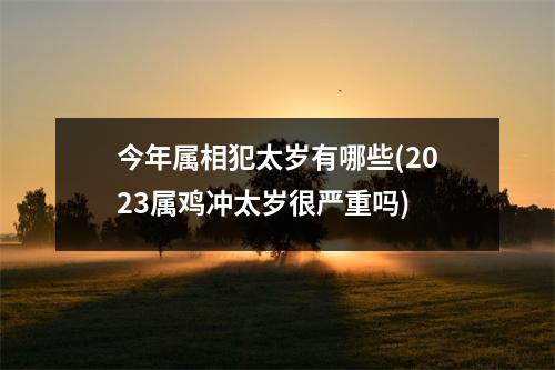 今年属相犯太岁有哪些(2023属鸡冲太岁很严重吗)