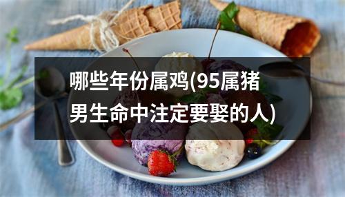 哪些年份属鸡(95属猪男生命中注定要娶的人)