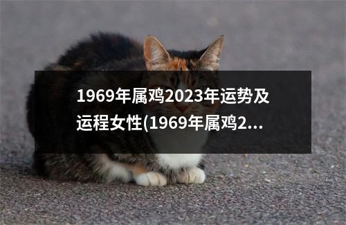 1969年属鸡2023年运势及运程女性(1969年属鸡2023年运势及运程女性桃花运)