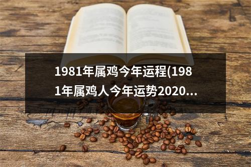 1981年属鸡今年运程(1981年属鸡人今年运势2020年每月运势)