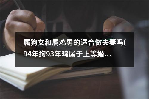 属狗女和属鸡男的适合做夫妻吗(94年狗93年鸡属于上等婚吗)