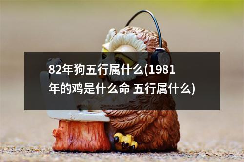 82年狗五行属什么(1981年的鸡是什么命 五行属什么)