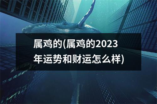 属鸡的(属鸡的2023年运势和财运怎么样)