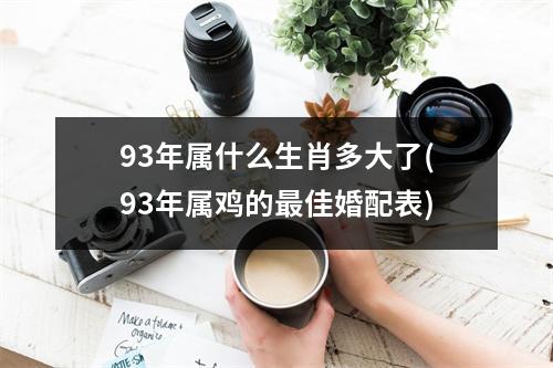 93年属什么生肖多大了(93年属鸡的佳婚配表)