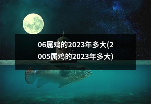 06属鸡的2023年多大(2005属鸡的2023年多大)