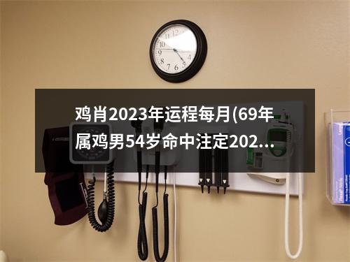 鸡肖2023年运程每月(69年属鸡男54岁命中注定2023)