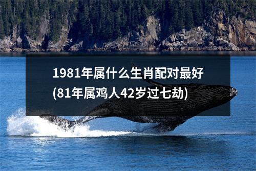 1981年属什么生肖配对好(81年属鸡人42岁过七劫)