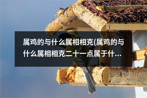 属鸡的与什么属相相克(属鸡的与什么属相相克二十一点属于什么时辰)