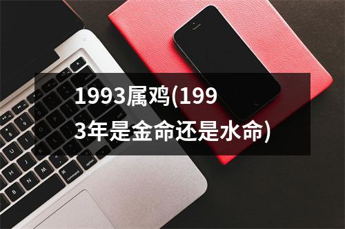 1993属鸡(1993年是金命还是水命)