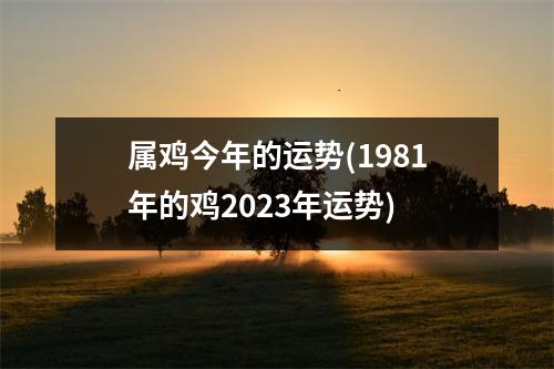 属鸡今年的运势(1981年的鸡2023年运势)