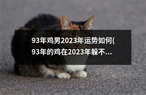 93年鸡男2023年运势如何(93年的鸡在2023年躲不过的灾)