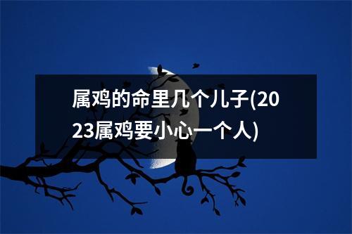 属鸡的命里几个儿子(2023属鸡要小心一个人)