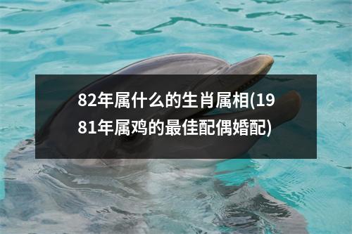 82年属什么的生肖属相(1981年属鸡的佳配偶婚配)