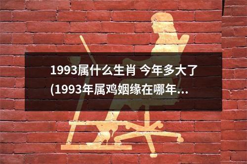 1993属什么生肖 今年多大了(1993年属鸡姻缘在哪年旺盛)