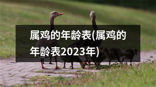 属鸡的年龄表(属鸡的年龄表2023年)