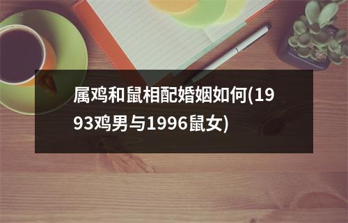 属鸡和鼠相配婚姻如何(1993鸡男与1996鼠女)