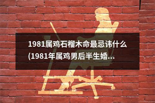 1981属鸡石榴木命忌讳什么(1981年属鸡男后半生婚姻)