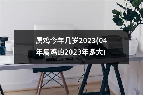 属鸡今年几岁2023(04年属鸡的2023年多大)