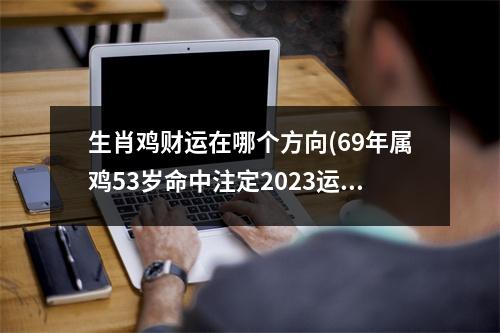 生肖鸡财运在哪个方向(69年属鸡53岁命中注定2023运势)