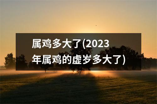 属鸡多大了(2023年属鸡的虚岁多大了)