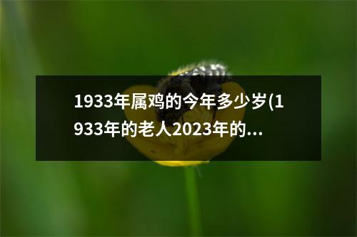 1933年属鸡的今年多少岁(1933年的老人2023年的命)