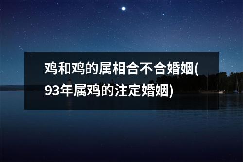 鸡和鸡的属相合不合婚姻(93年属鸡的注定婚姻)