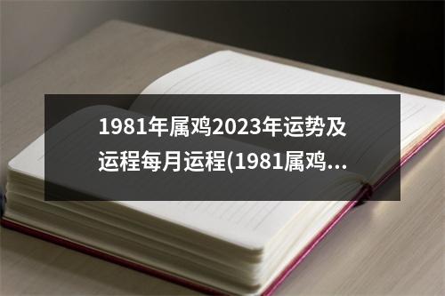 1981年属鸡2023年运势及运程每月运程(1981属鸡2023危险的一个月)