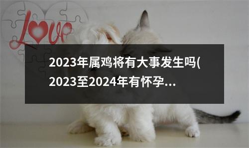 2023年属鸡将有大事发生吗(2023至2024年有怀孕生子生肖)