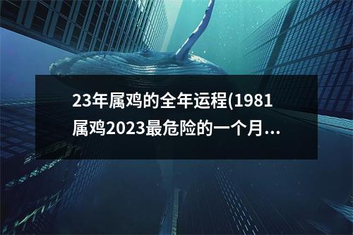 23年属鸡的全年运程(1981属鸡2023危险的一个月)