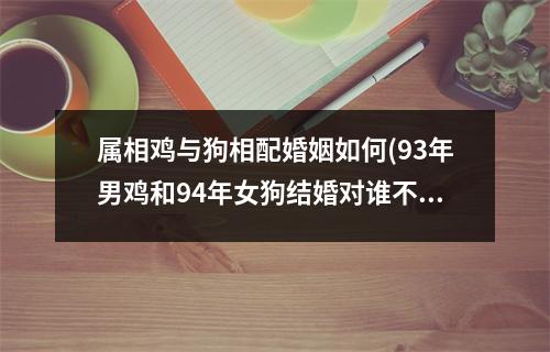 属相鸡与狗相配婚姻如何(93年男鸡和94年女狗结婚对谁不利)