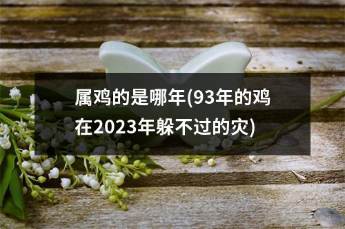 属鸡的是哪年(93年的鸡在2023年躲不过的灾)