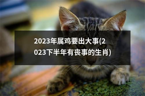 2023年属鸡要出大事(2023下半年有丧事的生肖)