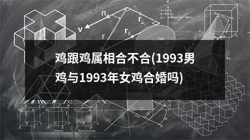 鸡跟鸡属相合不合(1993男鸡与1993年女鸡合婚吗)