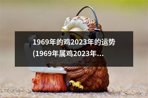 1969年的鸡2023年的运势(1969年属鸡2023年全年运势)