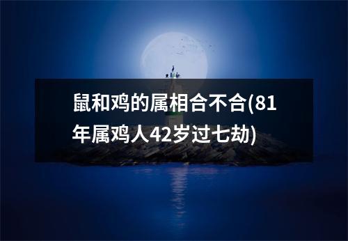 鼠和鸡的属相合不合(81年属鸡人42岁过七劫)