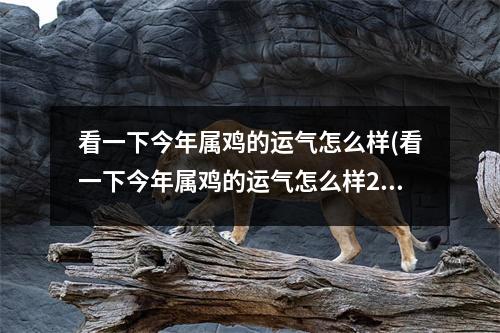 看一下今年属鸡的运气怎么样(看一下今年属鸡的运气怎么样2020年)