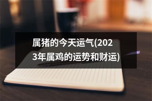 属猪的今天运气(2023年属鸡的运势和财运)